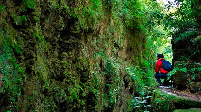 El increíble pueblo de Jujuy con microclimas, yungas y una increíble ...