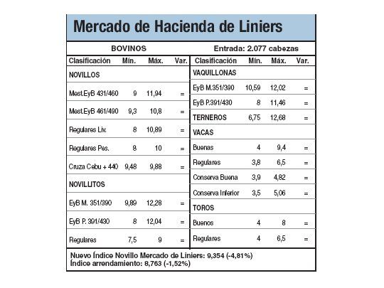 Novillos registraron leve alza del 1%