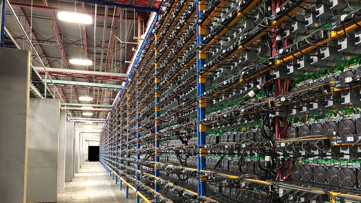 Minería bitcoin en la Patagonia: el argentino que la impulsa y cómo será la  megagranja