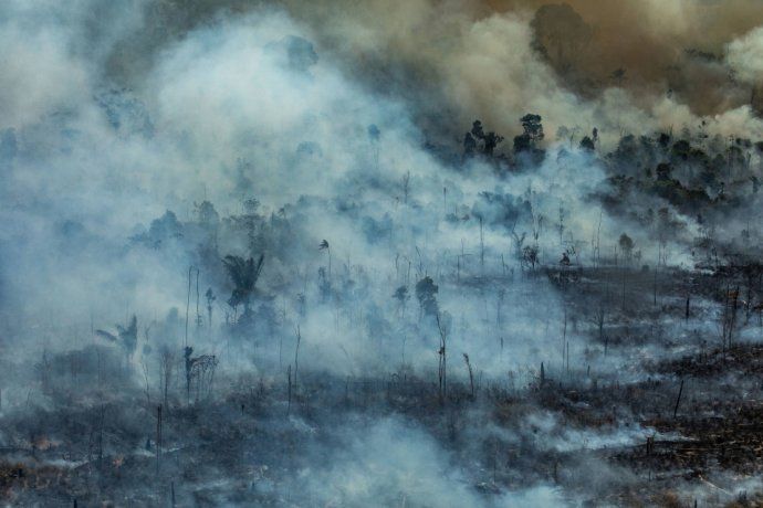 ¿Cuál es la importancia del Amazonas para combatir el cambio climático? imagen-9