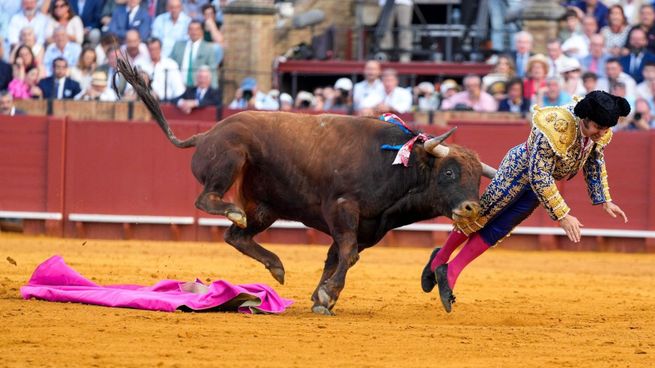 Morante de la Puebla fue embestido por el cuarto animal de la tarde en la Plaza de Toros de la Maestranza.