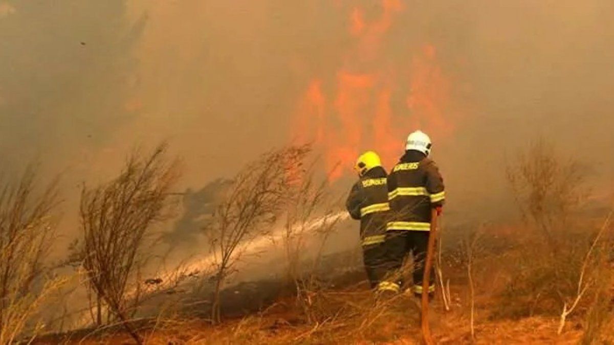 Incendios en Corrientes: provincias enviaron brigadistas de apoyo para  combatir el fuego