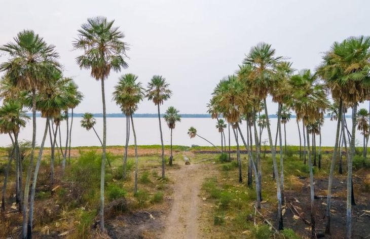 Nuevo parque nacional Laguna El Palmar se suma al sistema de