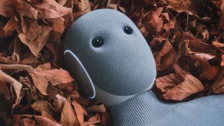 NEO salió a la venta: ¿qué esperar del primer robot humanoide doméstico? NEO salió a la venta: ¿qué esperar del primer robot humanoide doméstico?