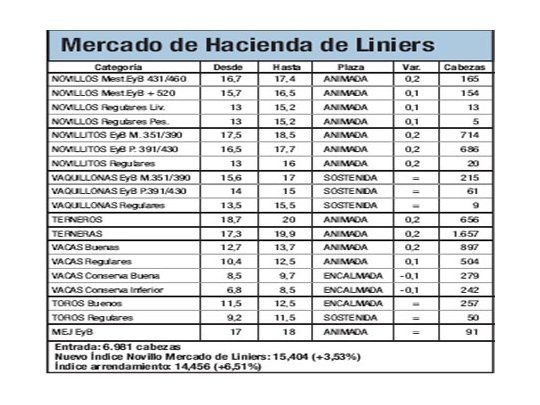 Mercado de Liniers: novillo subió 3,5%