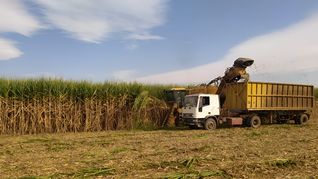 De concretarse, el nuevo holding integrará dos de los complejos sucroalcoholeros más relevantes de la provincia, con 5,5 millones de toneladas de molienda anual. De concretarse, el nuevo holding integrará dos de los complejos sucroalcoholeros más relevantes de la provincia, con 5,5 millones de toneladas de molienda anual.