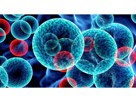 EEUU aprueba una novedosa terapia contra un cáncer infantil