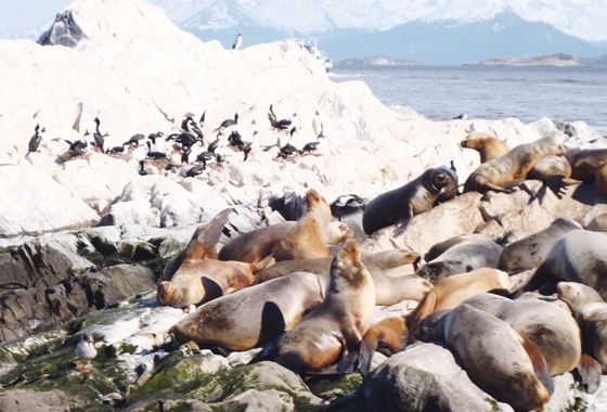 Ushuaia, el fin y el principio del mundo (foto 4)