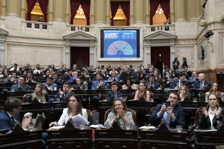 El Gobierno logró una ajustada aprobación de la ley de 