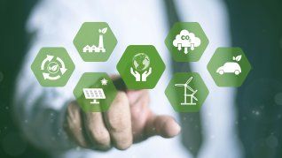 Sustentabilidad Sustentabilidad