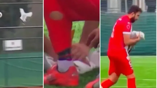 Una gaviota fue salvada por un jugador amateur en pleno partido.