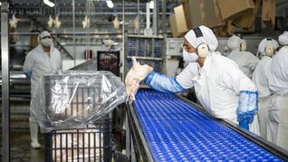 Cupra denuncia presiones para beneficiar a los importadores de pollo.