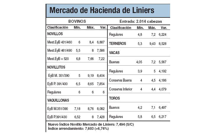 Los novillitos subieron el 0,5%