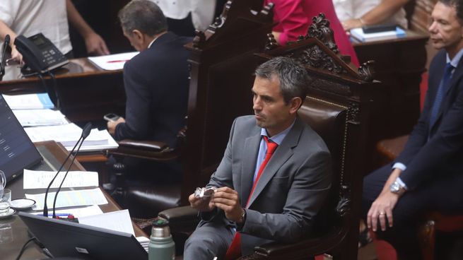 Martín Menem, presidente de la Cámara de Diputados.