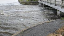 El río Samborombón tuvo una crecida importante por el temporal