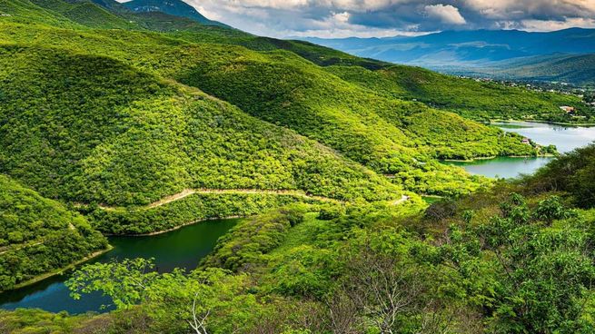 El imponente bosque cercano a CDMX.