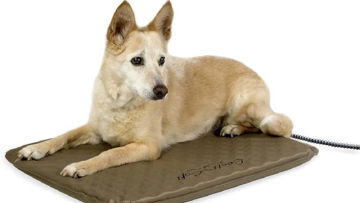 Este tipo de colchones eléctricos son autocalentables y los protegen del frío.