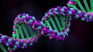 Esta herramienta de Google puede cartografiar la ubicación de los elementos funcionales y a determinar sus roles a nivel molecular. Esta herramienta de Google puede cartografiar la ubicación de los elementos funcionales y a determinar sus roles a nivel molecular.