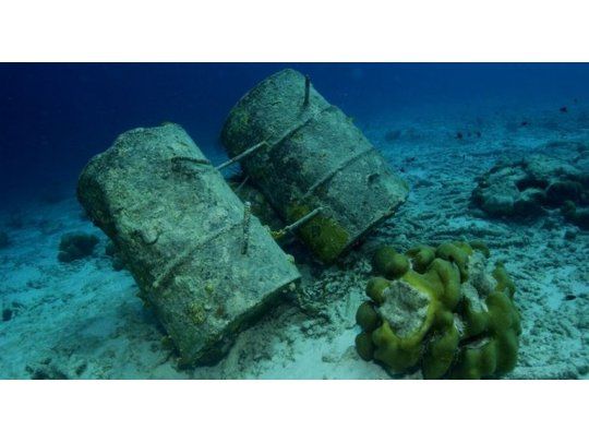 Científicos alertan que la contaminación humana llegó al fondo de los océanos