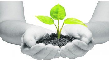 ámbito.com | Balance sustentable: progresos y pendientes