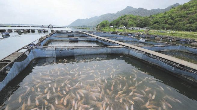 Diversificación. El grupo Newsan amplía sus unidades de negocios.