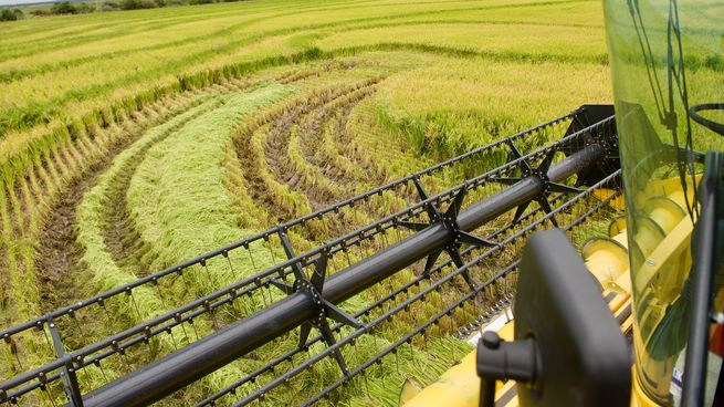 Se realizó el 97% del total de la zafra a nivel nacional.&nbsp;