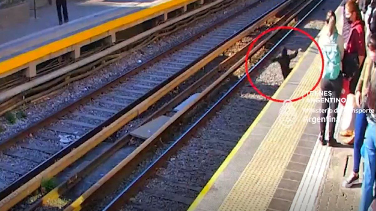 Pánico en el Tren Sarmiento: un nene se distrajo y cayó a las vías