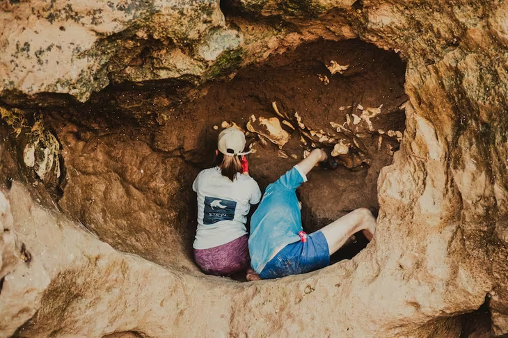 Es la primera vez que se encuentran 3 ejemplares de esta especie en la entrada de su madriguera prehistórica. Es la primera vez que se encuentran 3 ejemplares de esta especie en la entrada de su madriguera prehistórica.