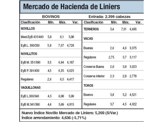 Poca oferta complementó la escasa calidad de bovinos