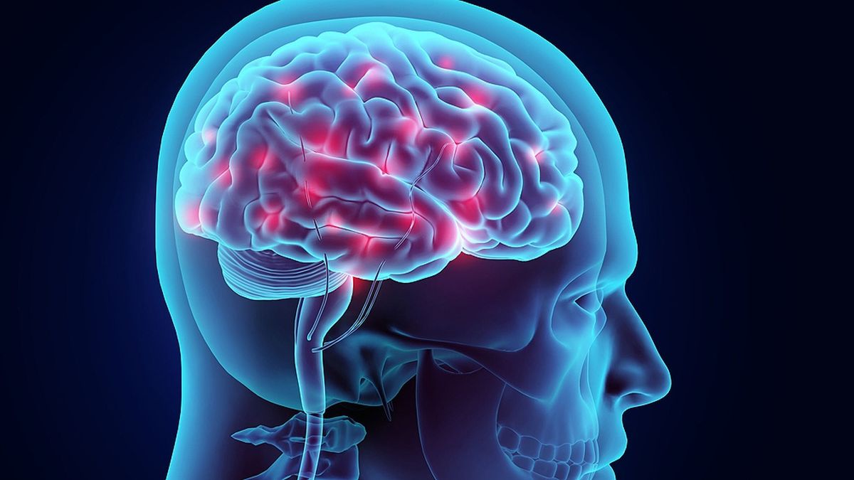 Cerebro: la ciencia recomienda evitar este alimento negativo para la salud