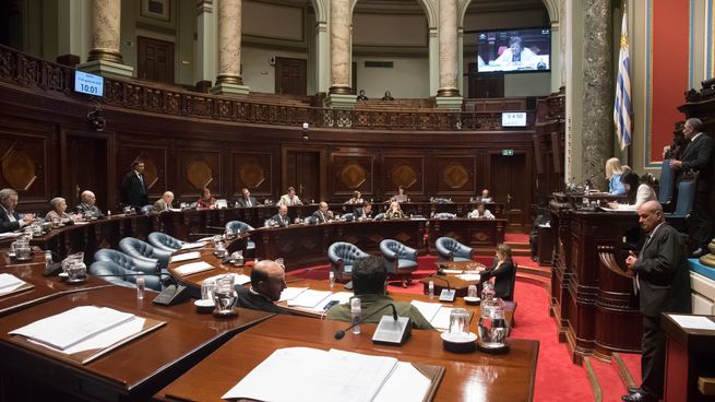 El Senado aprobó el proyecto de ley de medios sin haber pasado por comisiones y ahora vuelve a Diputados.