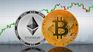 The bullish streak also extended among the most important altcoins in the market. 