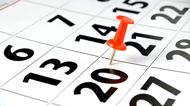 They declared a holiday for Monday, January 20: who will enjoy a day of rest?