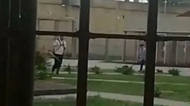 Los rugbiers, cortando el pasto del penal.