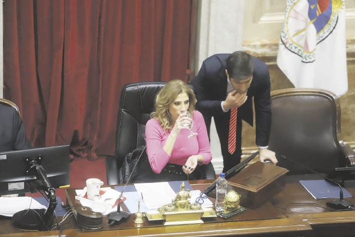 La presidenta provisional de la Cámara alta, Claudia Ledesma Abdala de Zamora, comandó la sesión ante la ausencia en el recinto -durante toda la jornada- de Cristina de Kirchner.