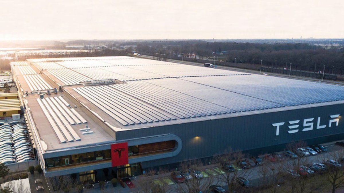 Tesla faces a strong fall of 60% in its sales in Germany
