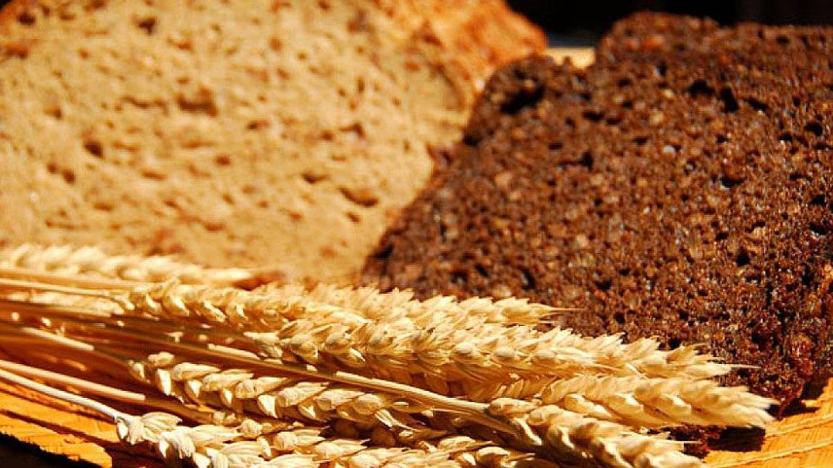 Gluten-free: how to make homemade bread easily and suitable for celiacs