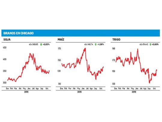 Los granos se recuperaron en Chicago