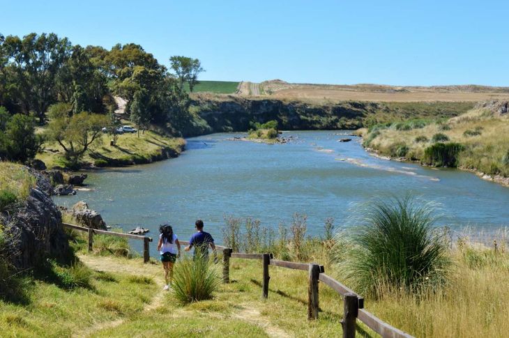 Coronel Dorrego fue declarada Capital Provincial Del olivo.