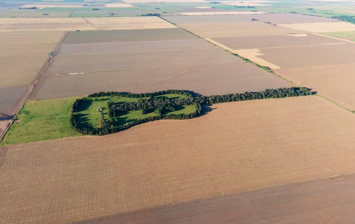 creo una estancia con forma de guitarra para recordar a su esposa fallecida: ¿donde queda?