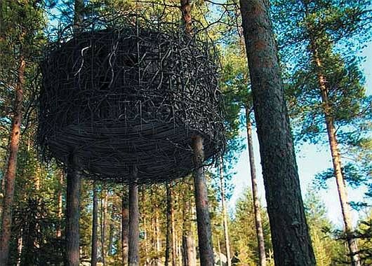 Hoteles en los árboles, una tendencia que crece (foto 1)