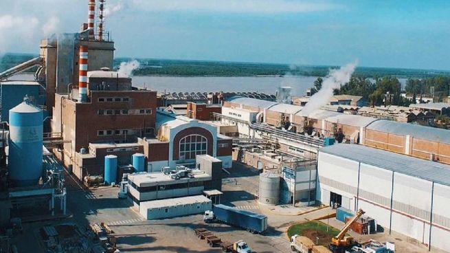Celulosa es una de las principales productoras de pulpa y papel de Argentina. 
