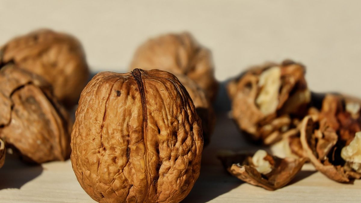 The dry fruit that contains a crucial vitamin to combat free radicals