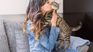Experts highlight the importance of mix feeding in the diet of cats, combining dry and wet foods to improve the hydration and palatability of the meals. Experts highlight the importance of mix feeding in the diet of cats, combining dry and wet foods to improve the hydration and palatability of the meals.