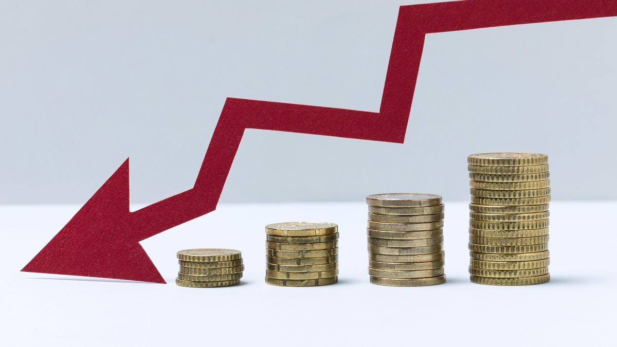 What do employers expect for jobs, investment and growth in 2024?