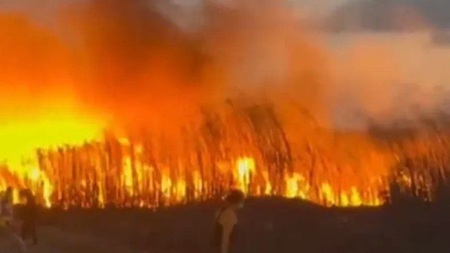 Horas clave en Jujuy: brigadistas, bomberos y vecinos enfrentan el fuego con lo que tienen a mano.