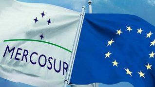 El acuerdo entre la Unión Europea y el Mercosur se enfrente a la tajante postura de Francia. El acuerdo entre la Unión Europea y el Mercosur se enfrente a la tajante postura de Francia.