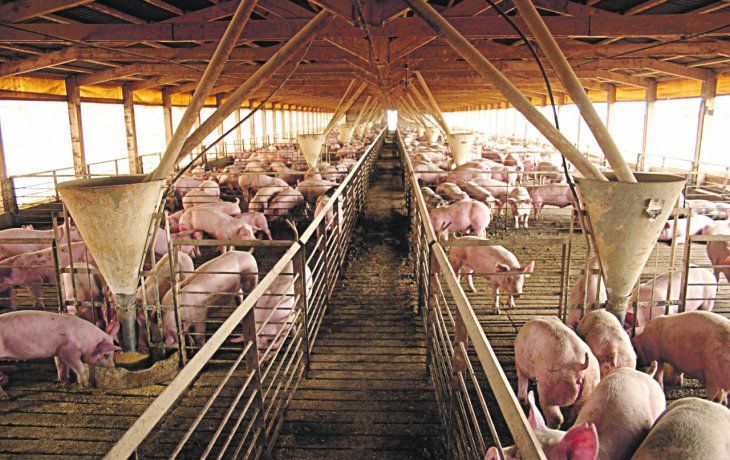 Inversiones. Crece la expectativa en el sector por el virtual despegue de los volúmenes.